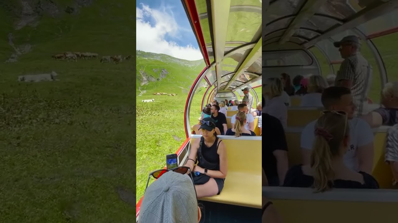 YouTube Short thumbnail