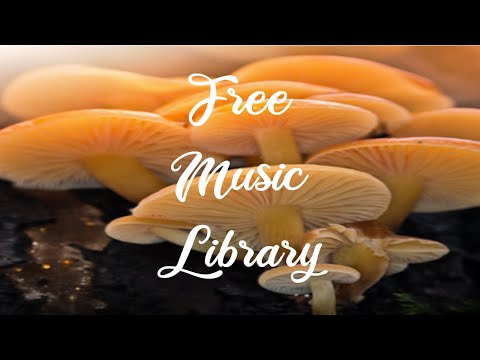 Royalty Free Music Library ♫ Planescape: Torment Remix - 'The Gates of Sigil' - Scott Buckley