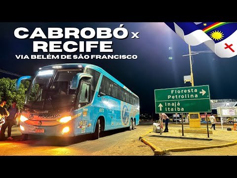 CABROBÓ para RECIFE via Belém de São Francisco, Floresta e Ibimirim | o TREVO DO IBÓ de MADRUGADA