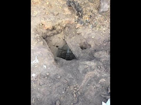 Zëri mis.terioz nga varrezat tm.erron banorët, me zbardhjen e ditës zbulohet gjithçka