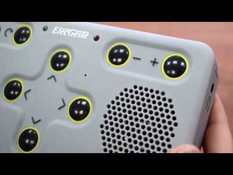 ElecGeste DTBP-301. Часть 01. Описание.