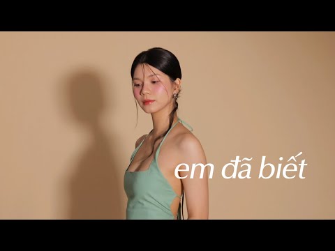 salmon - em đã biết | 'bittersweet' EP (official visualizer)