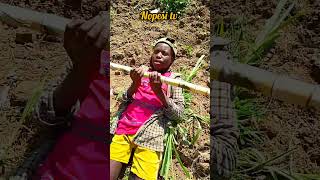 Download lagu Resolved π problem ππ mp3 Download lagu Resolved π problem ππ mp3