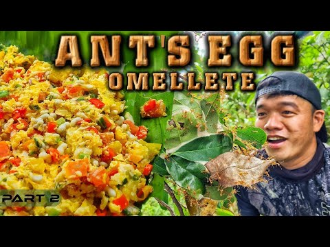 EP876-P2 - Ants Eggs Forage and Cook