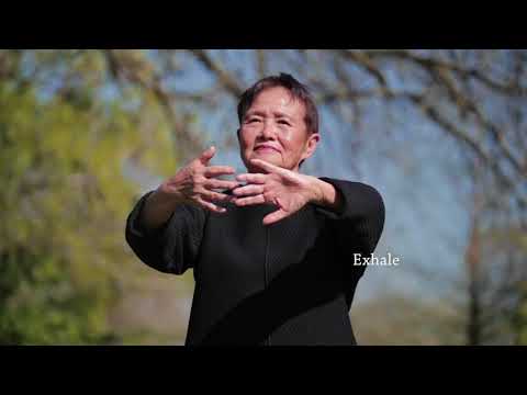 Qigong Full 20-Minute Daily Routine