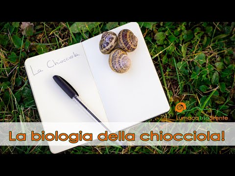 La biologia della chiocciola!