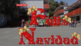 "GALA NAVIDEÑA CAM 7"