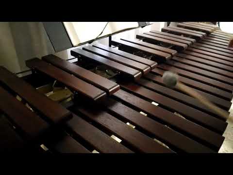 Inni di lode N°120: Fratelli, avanti, vittoria s'avrà Marimba Cover