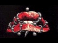 The Rocky Horror Punk Rock Show - Ataris ...