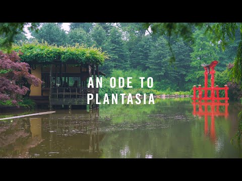 An Ode to Plantasia: For Mort Garson and the People Who Love Him