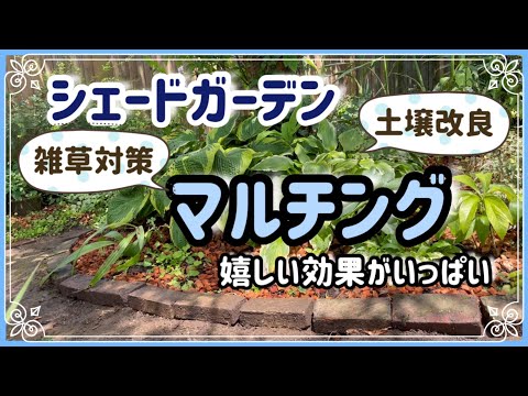 夏に家庭菜園にマルチングをするのが良いのはなぜですか?わらの選び方は？  庭園