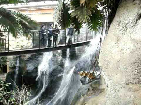 ZOOLÓGICO BUENOS AIRES FLORESTA SUB-TROPICAL