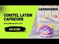Zodiac Fun: Capricorn Purple Building Block Toy Unboxing & Review
