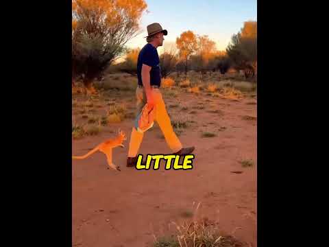 The kangaroo raised like a child refused to leave and brought friends back for snacks#usa #shorts