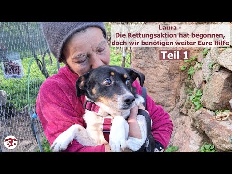 Laura - Rettungsaktion und doch benötigen wir weiter Eure Hilfe - Teil 1