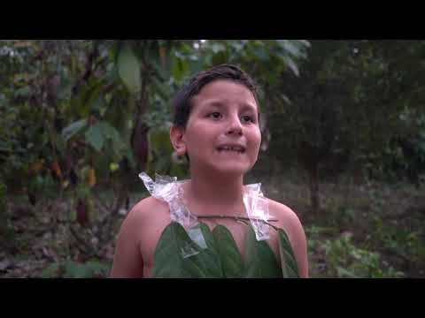 A tribe that plays soccer in the jungle was discovered (Reflection)