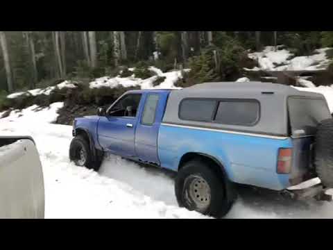 Lit shit and pro tips from the dipshit