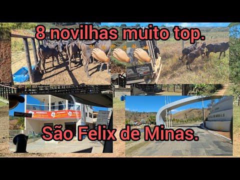 Transporte em São Felix de Minas,MG.🤠🤠🤠