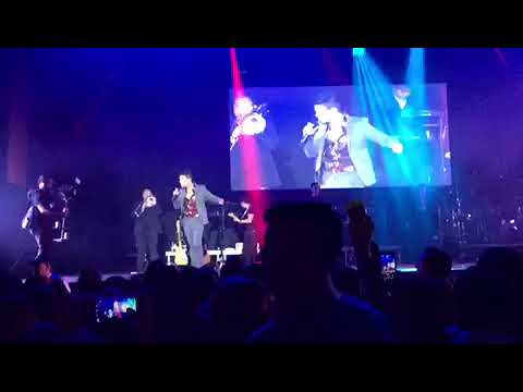 Adiós Amor - AMÉRICO / Estanis Mogollon