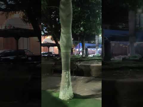 Bonito el Parque de San Martin en San Salvador