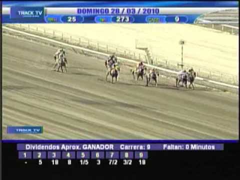 Clásico Hylander (Gr. 3) 2010 - La Rinconada