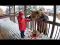 Dangerous Animals Caught Being Friendly