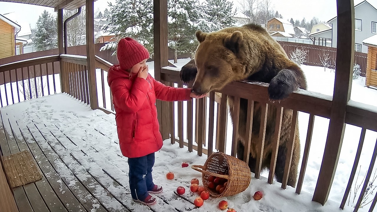Dangerous Animals Caught Being Friendly