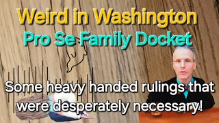 Weird Washington - Pro Se Family Docket - Judge Evans
