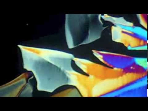 Elroy 4.0 - Miss You feat. Alianah (Official Video)