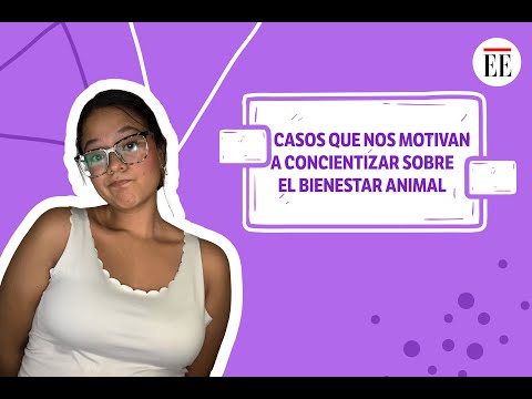 Top 3 de casos impactantes de maltrato animal del 2023 | EL ESPECTADOR