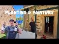 Planting and Painting! : My Sunday Schedule At My French Farmhouse Renovation.