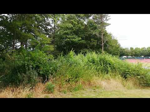 Bezirkssportanlage Mönchengladbach Odenkirchen-Süd 202001