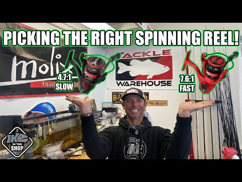 Picking The RIGHT Spinning Reel!!! (Gear Ratio Explained!)
