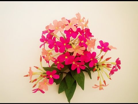 How To Make Combretum Indicum Flower From Crepe Paper - Craft Tutorial