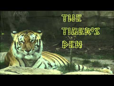 January 25th Power Trading Hour with David White on TFNN - 2016