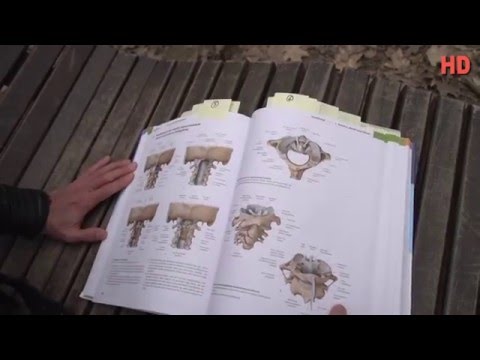 Wie die warmen Salzverbindungen Chronische Schmerzen in der Wirbelsäule Hernie Behandlung