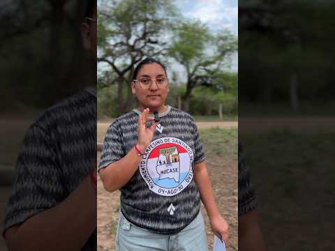 Sumate al Encuentro de Jóvenes en Tintina