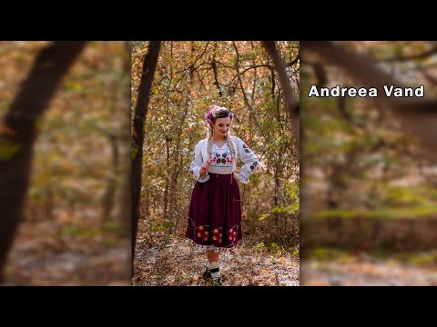 Andreea Vand - Din Bihor până-n Arad