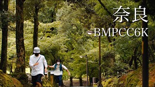 【奈良】BMPCC6Kで夏の終わりを撮影してきた。Davinci Resolveの紹介も。