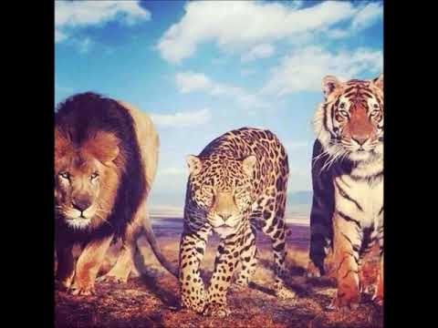 ENNEMI PUBLIC   SGARFACE 64 KILLA CREW