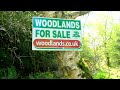 SEARCHING FOR WOODLAND TO BUY