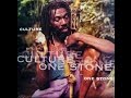 Culture One Stone Album 1996