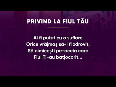 Privind la Fiul Tau! Enjoy Group ❤️🤍🎵🎺🎶🎼🎻🎸🎙🎹
