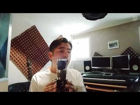 Ja bes tebe nisam ja- Sebastian