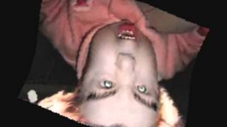 Dance Over Dose - Mental Mental Mental