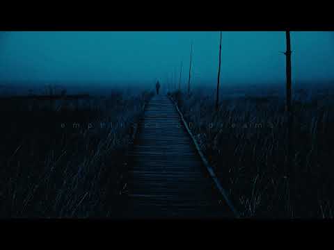 Antent x $werve - i don't feel anything