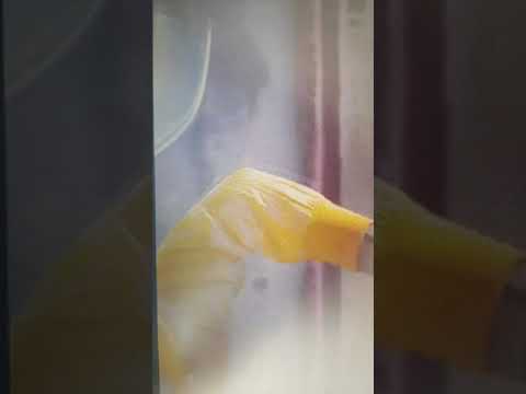 Daniele de Martino ft . Tony Colombo si cagnata video ufficale 2020