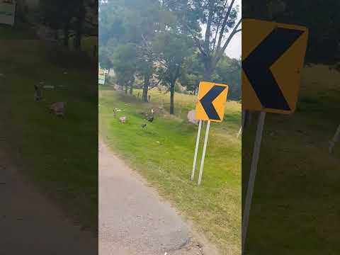 via Bogotá la Mesa cundinamarca