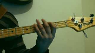 una aguja en un pajar  chancho en piedra solo de bajo