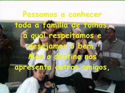 Retrospectiva 2007-Oswaldo Cruz